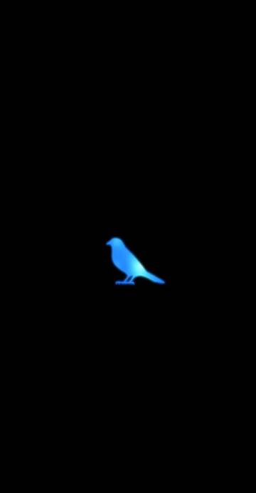 Blue Bird Wallpaper Naruto Page 6