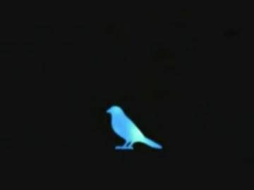 Blue Bird Wallpaper Naruto Page 8