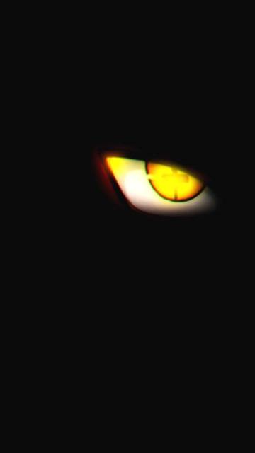 Naruto Shippuden Kyuubi Sage Mode Wallpaper Page 71
