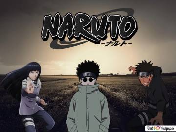 Naruto Shippuden Hinata Kiba Shino Wallpaper Page 55