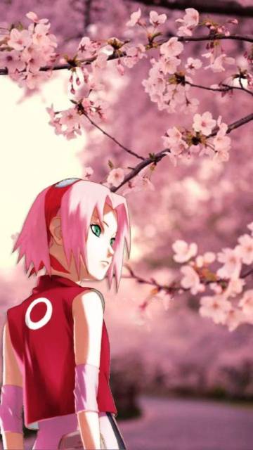 Sakura Hd Wallpaper Naruto Page 7