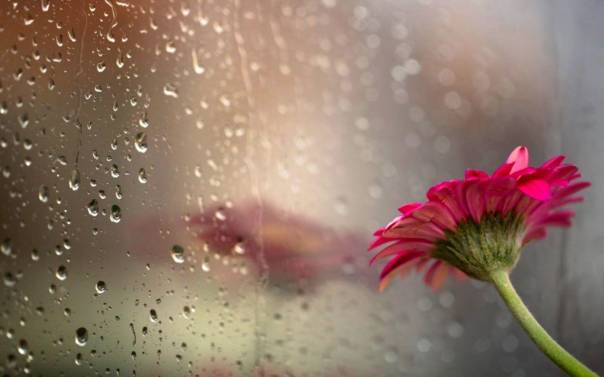 Free Download Beautiful Rain Naruto Wallpaper Page 101824 (1920 x 1200)