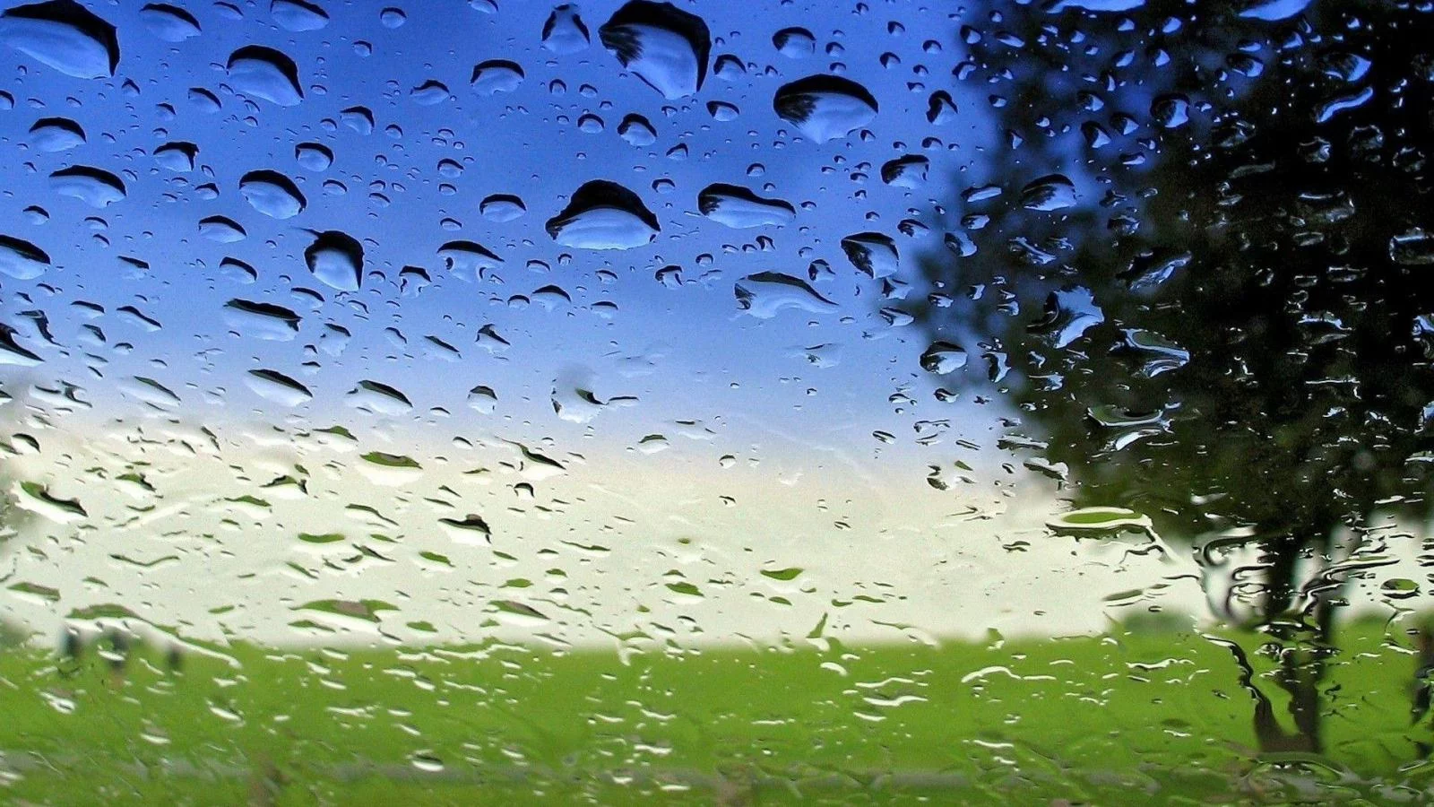 Free Download Beautiful Rain Naruto Wallpaper Page 101842 (1600 x 900)