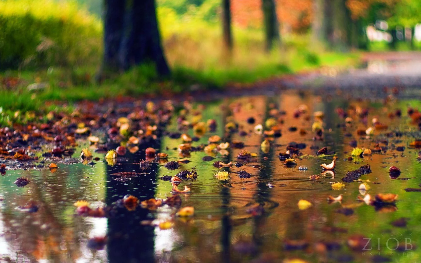 Free Download Beautiful Rain Naruto Wallpaper Page 101847 (1680 x 1050)
