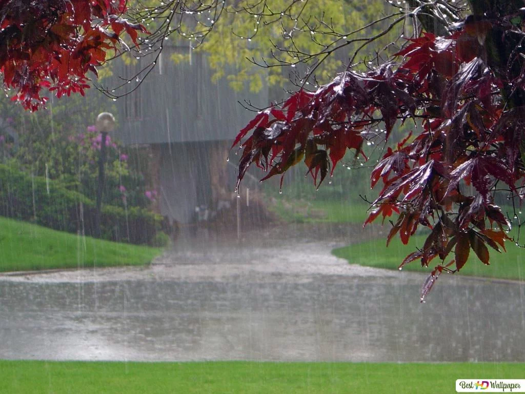 Free Download Beautiful Rain Naruto Wallpaper Page 101865 (1024 x 768)