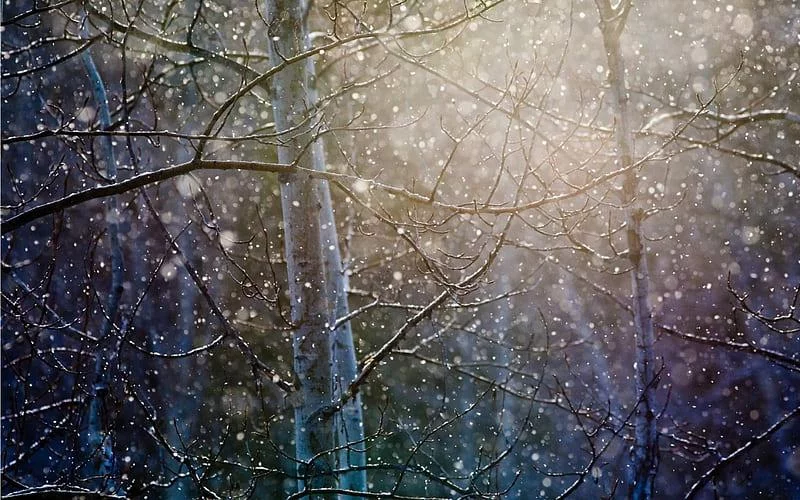 Free Download Beautiful Rain Naruto Wallpaper Page 101867 (800 x 500)