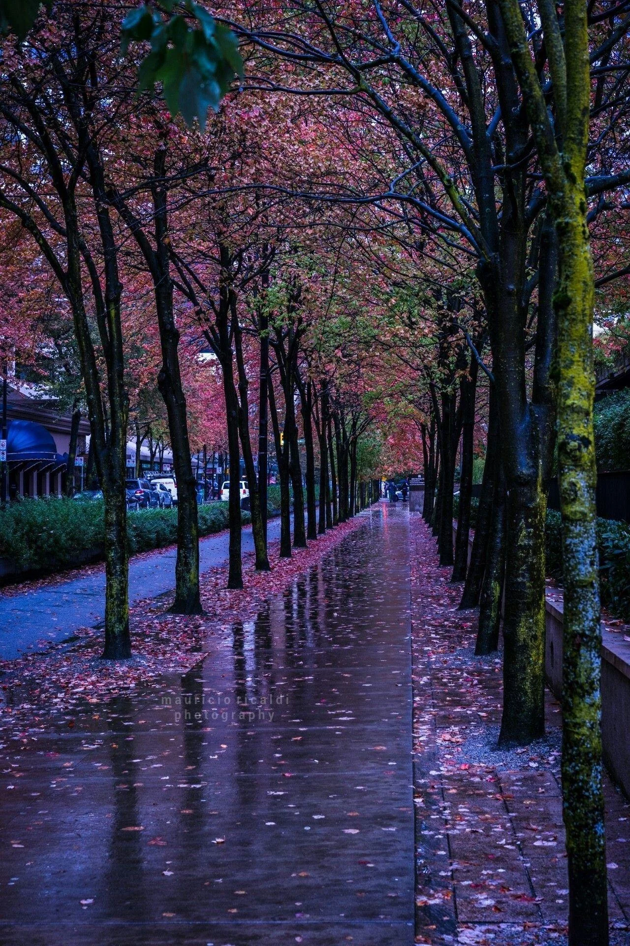 Free Download Beautiful Rain Naruto Wallpaper Page 101876 (1280 x 1920)