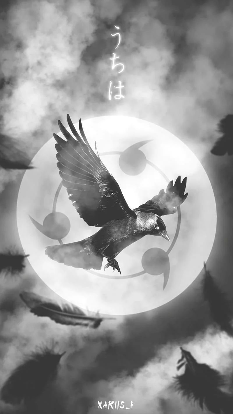 Free Download Naruto Shippuden Wallpaper Theme Page 1021368 (800 x 1422)