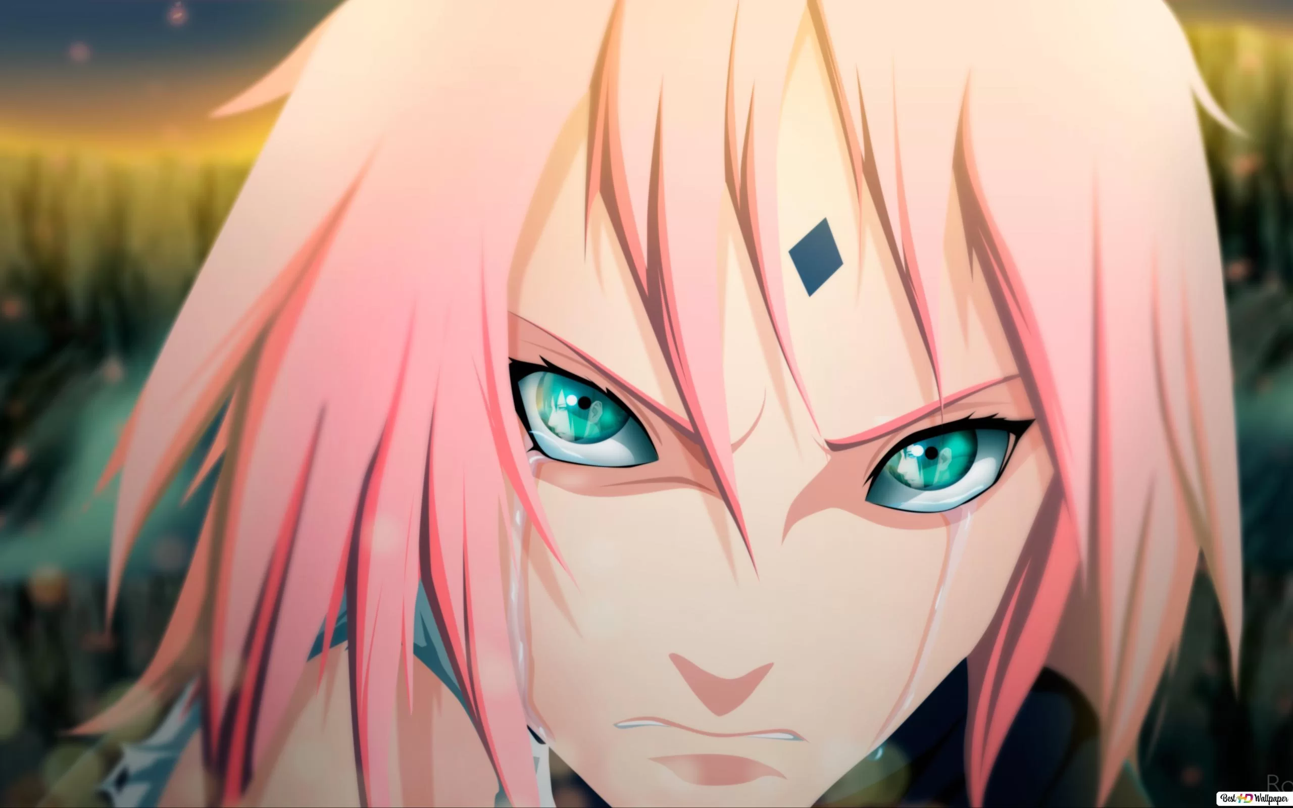 Free Download Naruto Shippuden Wallpaper With Quotes Page 1042013 (2560 x 1600)