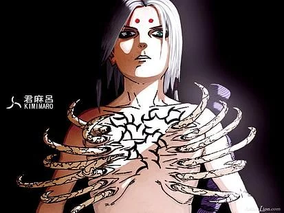 Free Download Naruto Shippuuden Kimimaro Wallpaper Page 1070894 (413 x 310)
