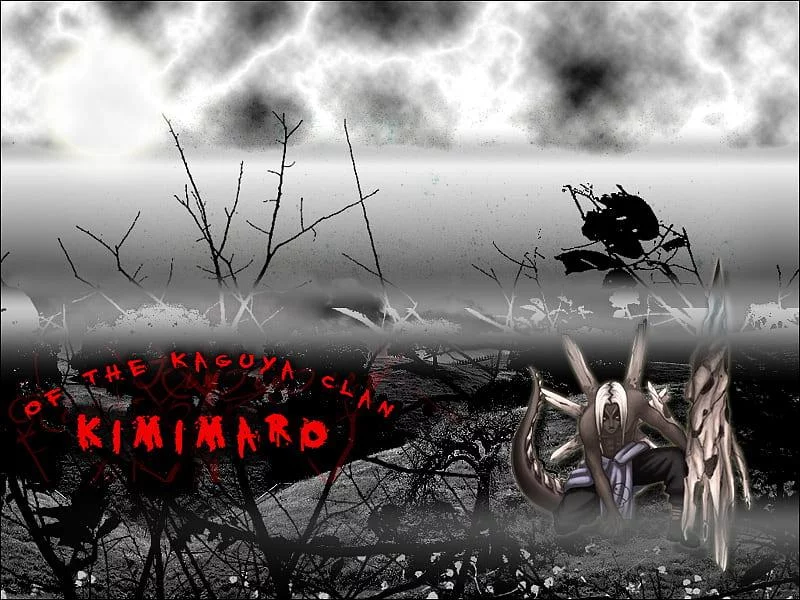 Free Download Naruto Shippuuden Kimimaro Wallpaper Page 1070933 (800 x 600)