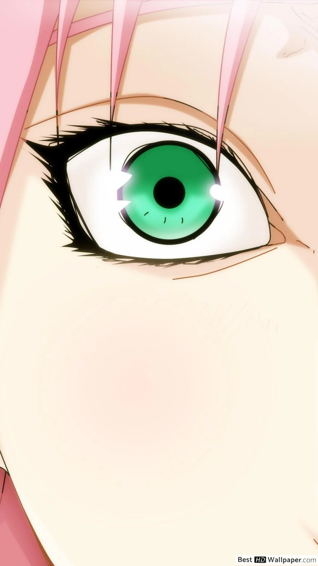 Free Download Naruto Shippuuden Sakura Iphone Wallpaper Page 1074114 (1080 x 1920)