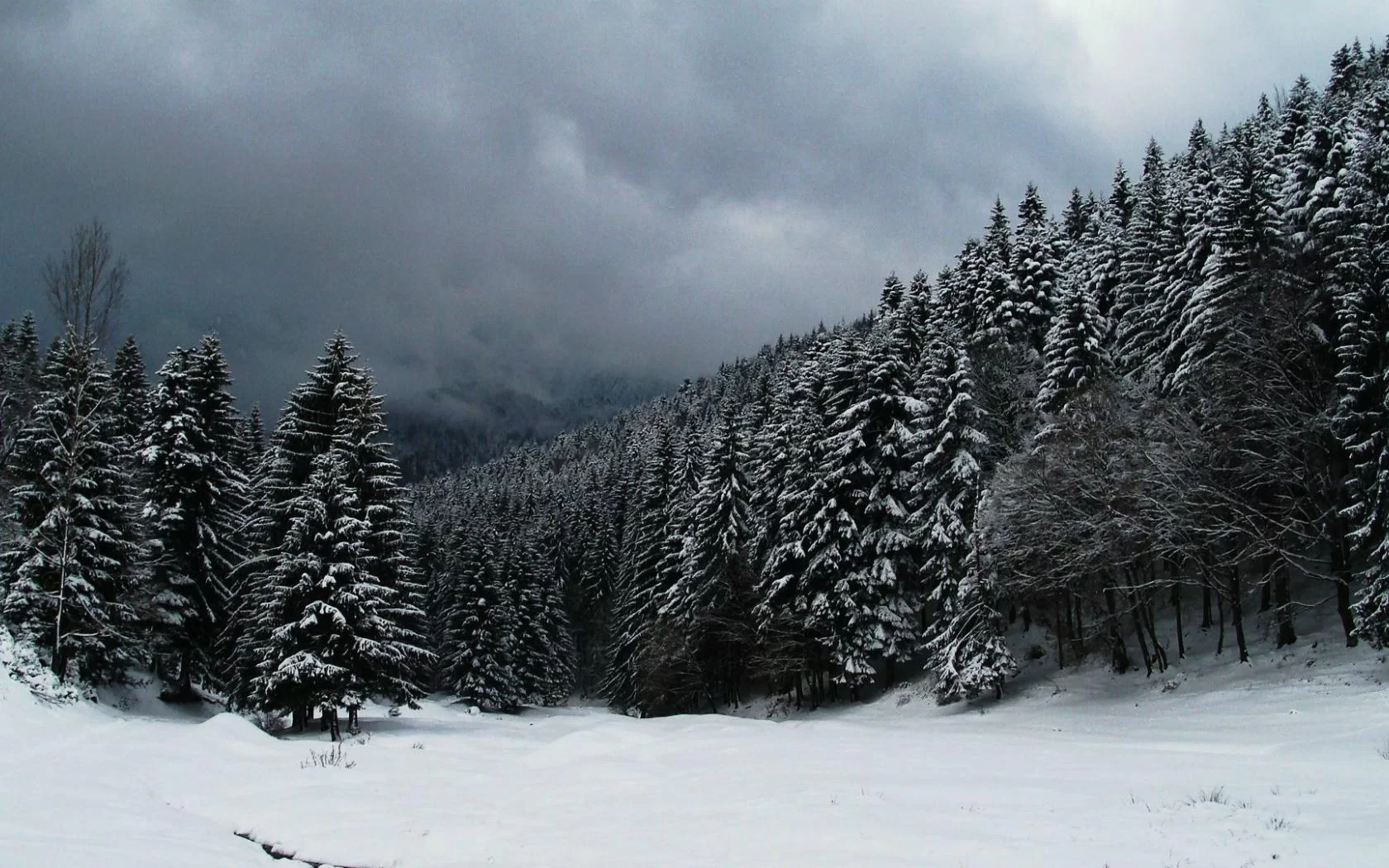 Free Download Naruto Snow Forest Wallpaper Page 1106292 (1680 x 1050)
