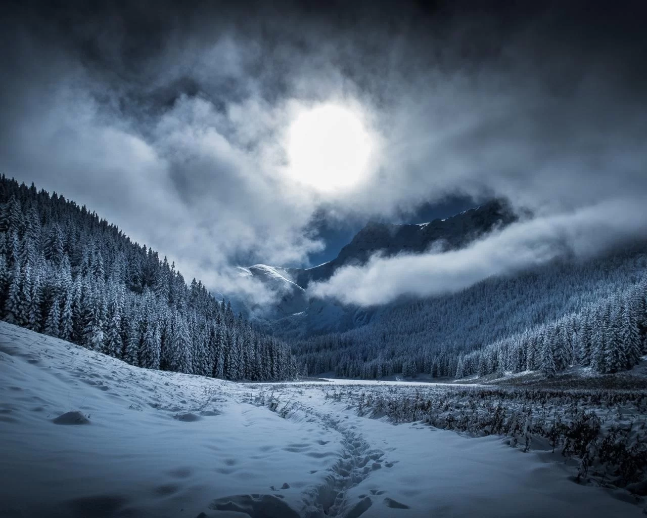 Free Download Naruto Snow Forest Wallpaper Page 1106301 (1280 x 1024)