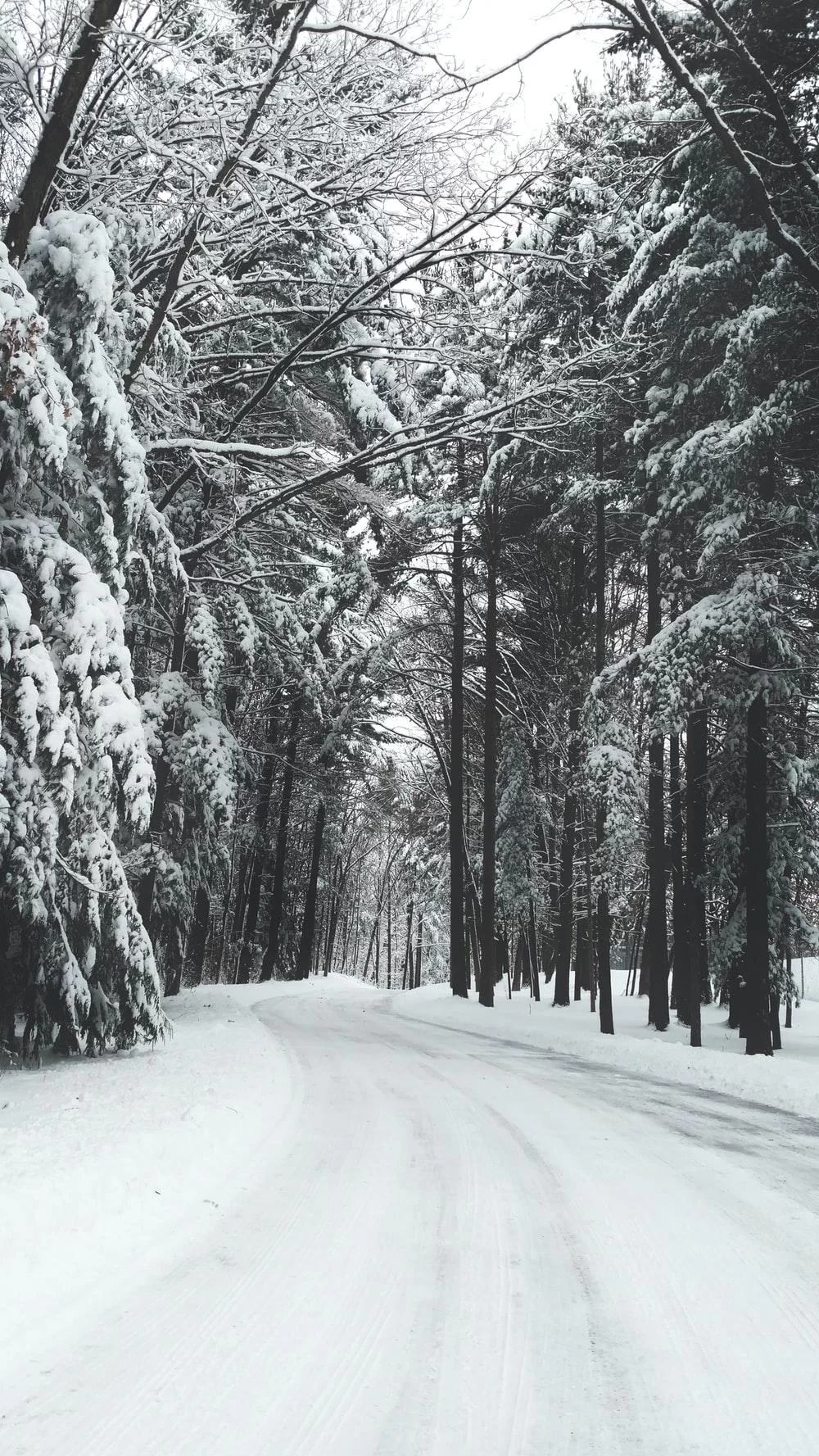 Free Download Naruto Snow Forest Wallpaper Page 1106305 (1000 x 1777)
