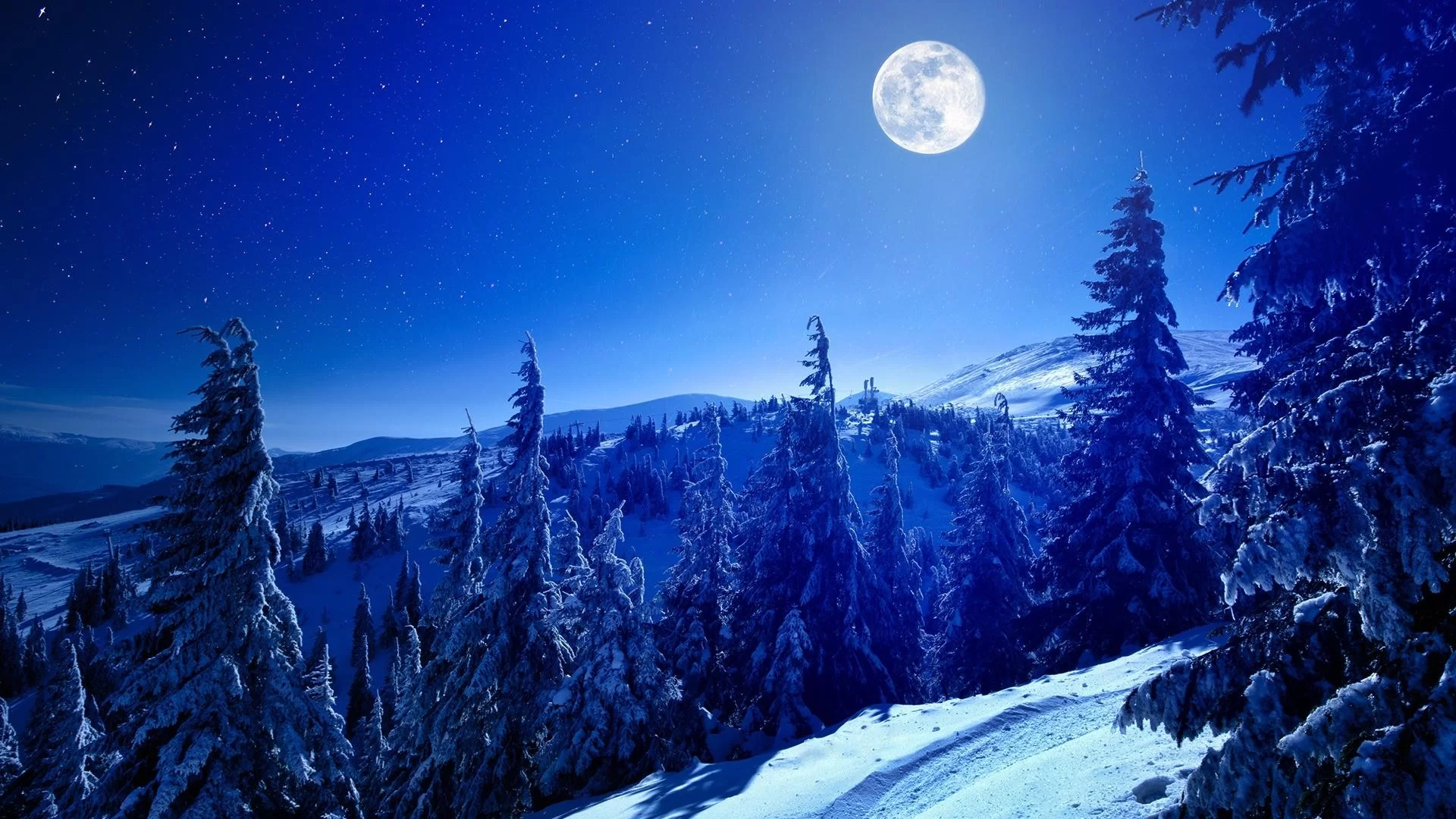 Free Download Naruto Snow Forest Wallpaper Page 1106307 (1920 x 1080)