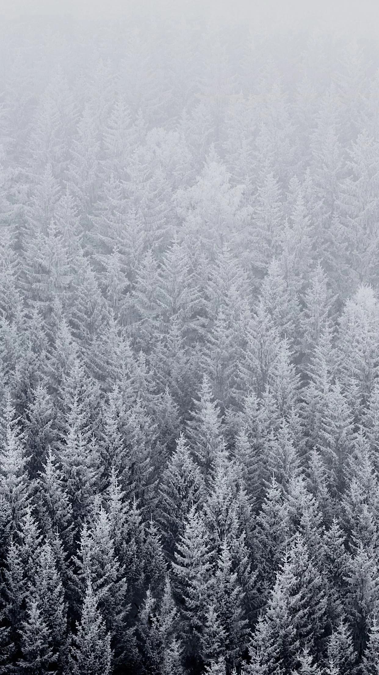 Free Download Naruto Snow Forest Wallpaper Page 1106310 (1242 x 2208)
