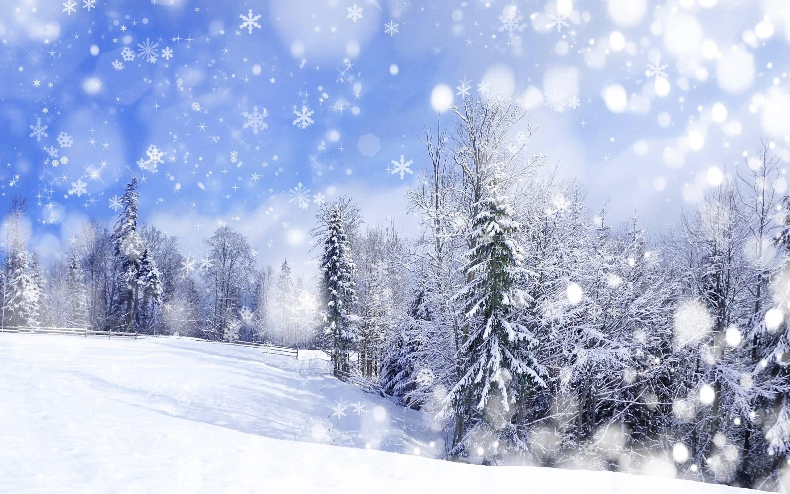Free Download Naruto Snow Forest Wallpaper Page 1106318 (2560 x 1600)