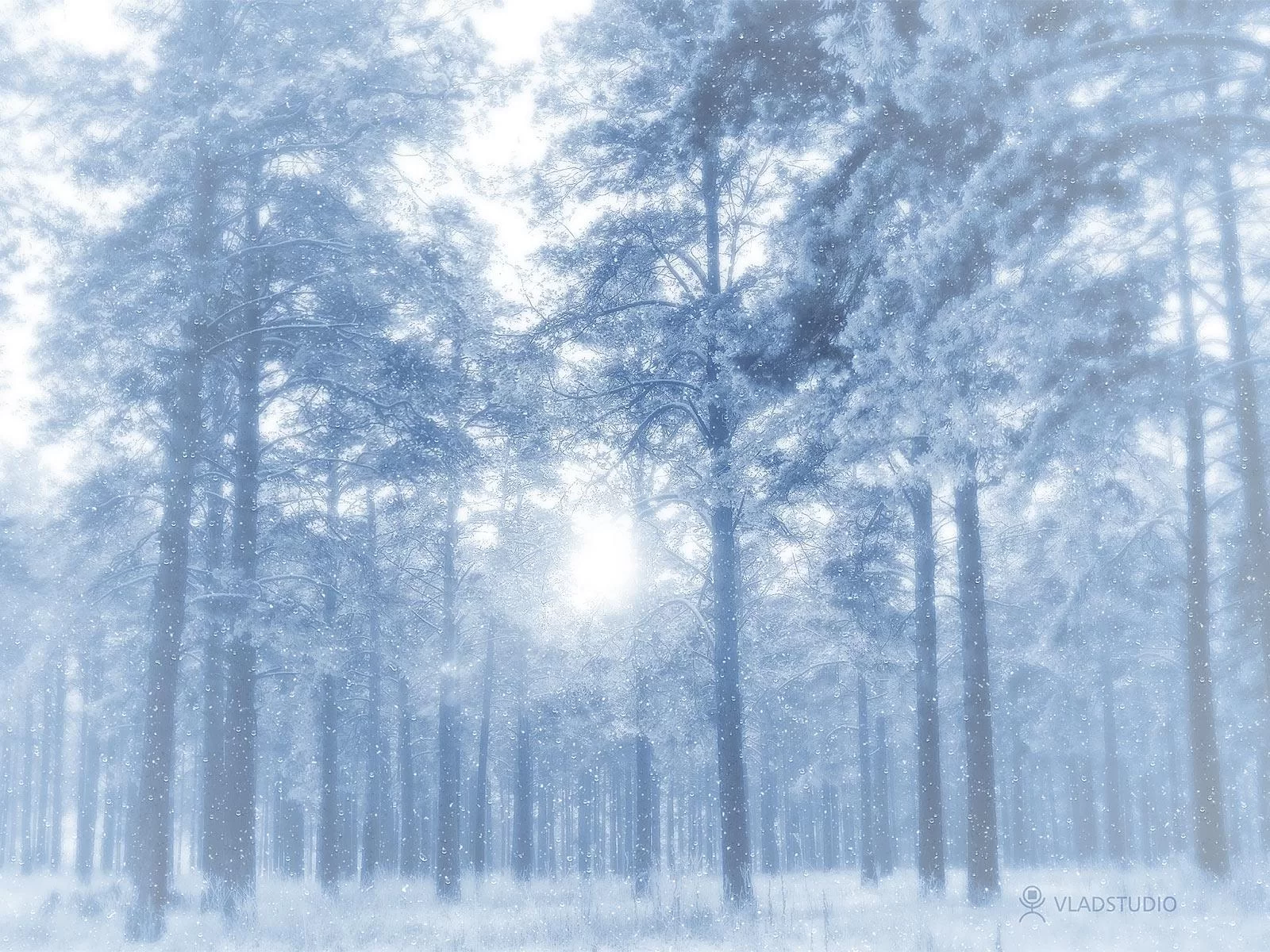 Free Download Naruto Snow Forest Wallpaper Page 1106320 (1600 x 1200)