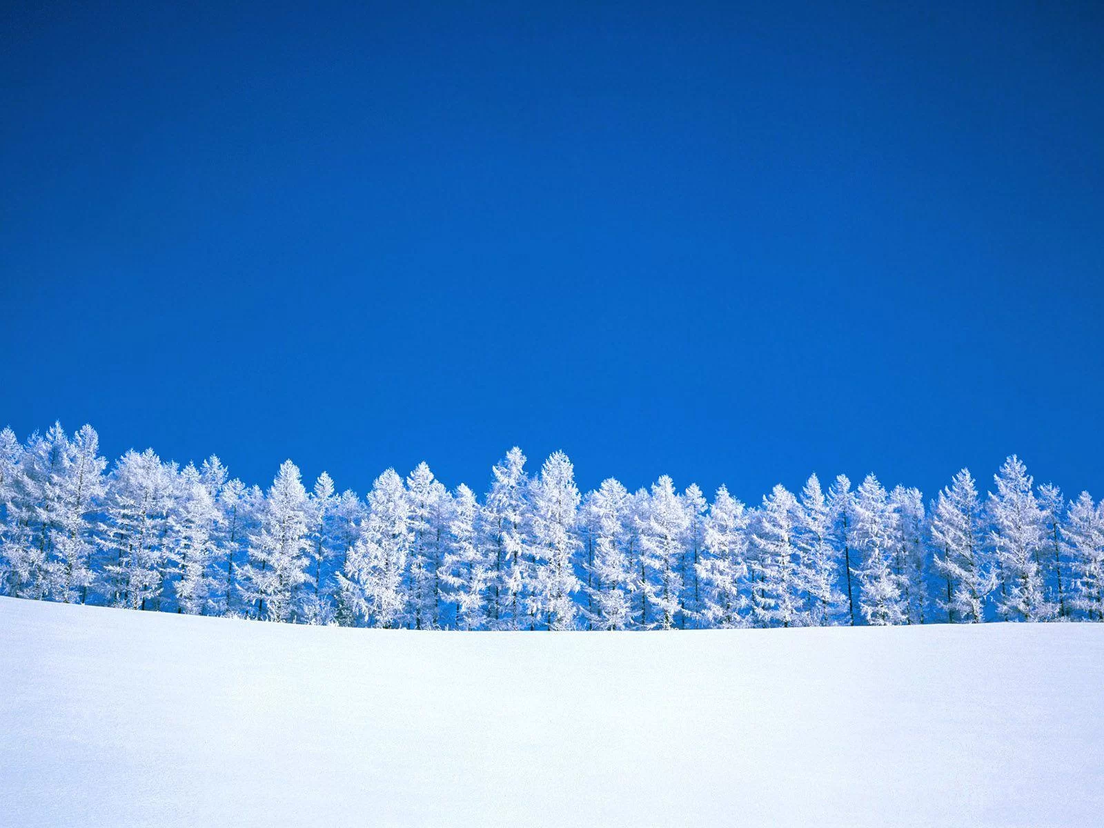 Free Download Naruto Snow Forest Wallpaper Page 1106324 (1600 x 1200)
