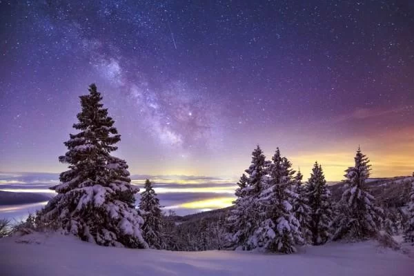 Free Download Naruto Snow Forest Wallpaper Page 1106336 (600 x 400)