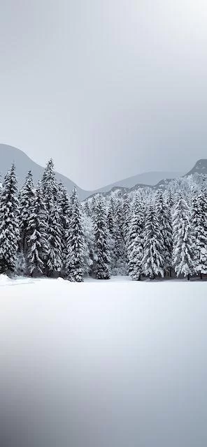Free Download Naruto Snow Forest Wallpaper Page 1106342 (296 x 640)