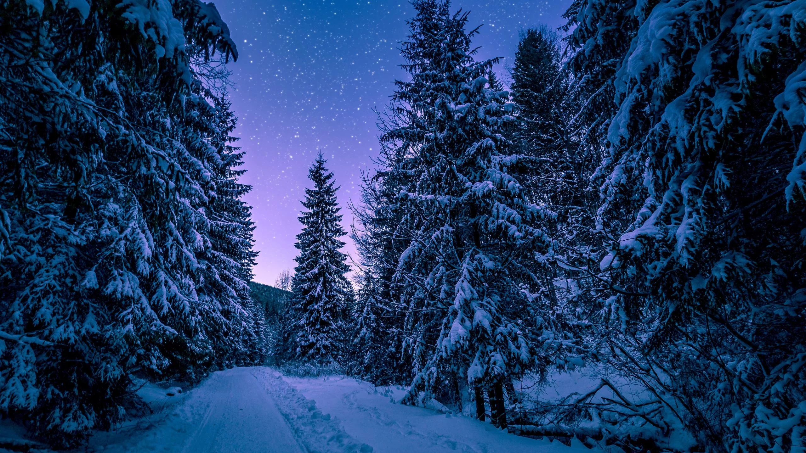 Free Download Naruto Snow Forest Wallpaper Page 1106343 (2560 x 1440)