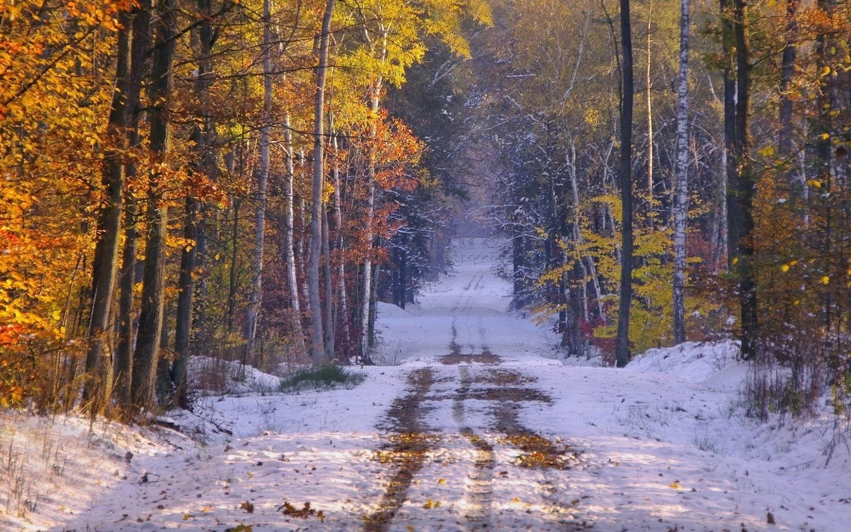 Free Download Naruto Snow Forest Wallpaper Page 1106345 (1680 x 1050)