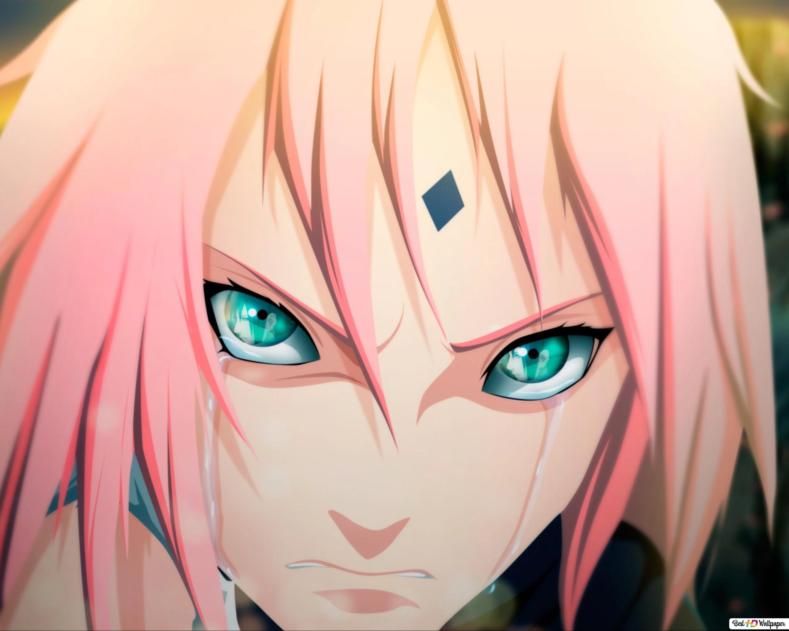 Free Download Naruto Shippuden Naruto And Sakura Wallpaper Page 13101 (2560 x 2048)