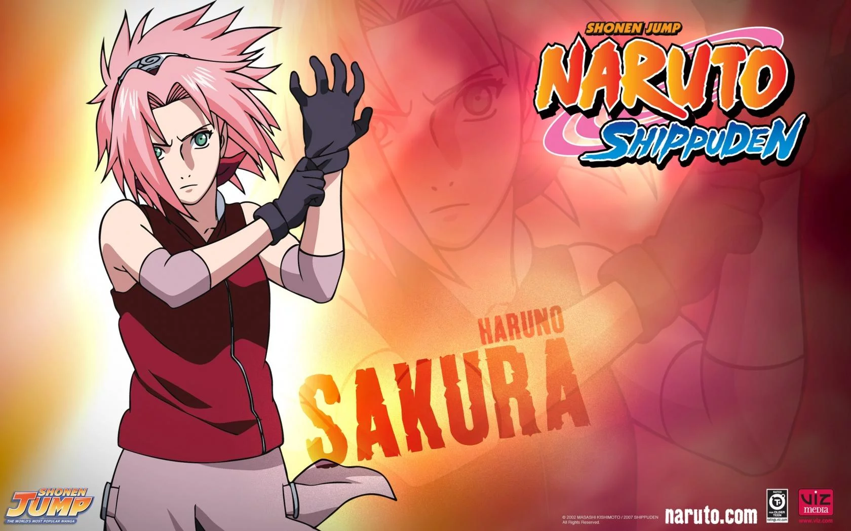 Free Download Naruto Shippuden Naruto And Sakura Wallpaper Page 13110 (1680 x 1050)