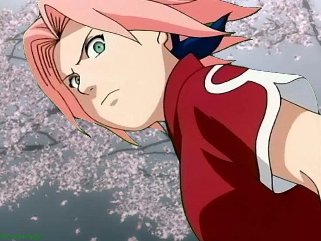 Free Download Sakura Wallpaper Naruto Shippuden Page 13129 (1024 x 768)