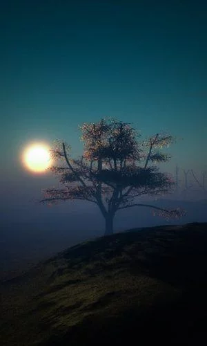 Free Download Wallpaper Naruto Samsung J1 Page 1453348 (300 x 500)