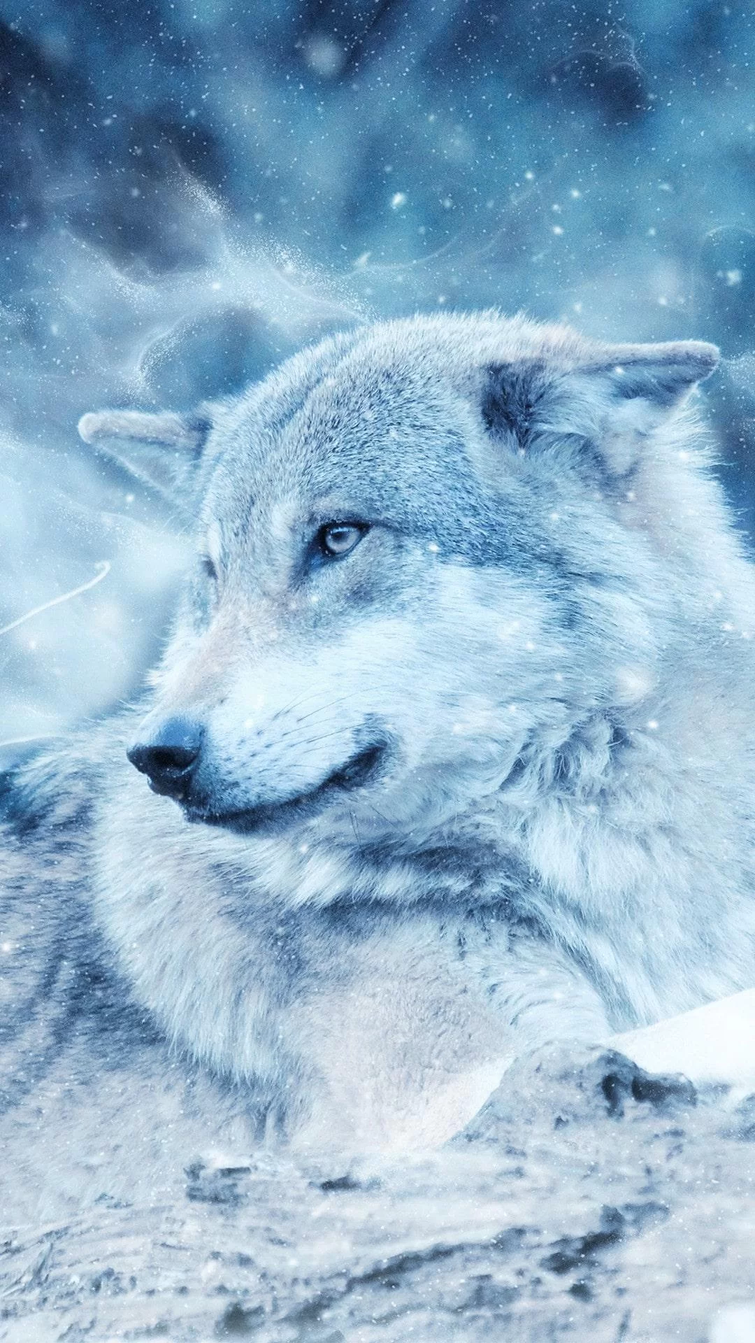 Free Download Naruto White Wolf Wallpaper Page 1511235 (1080 x 1920)