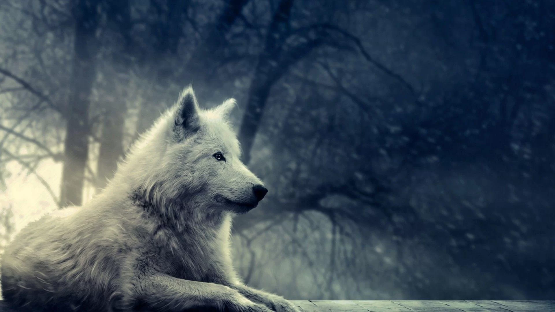 Free Download Naruto White Wolf Wallpaper Page 1511237 (1920 x 1080)