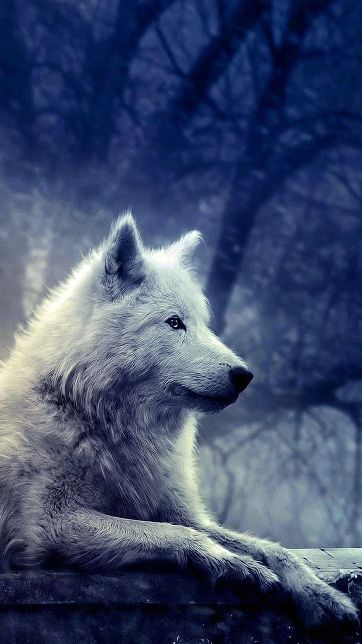 Free Download Naruto White Wolf Wallpaper Page 1511243 (1215 x 2161)