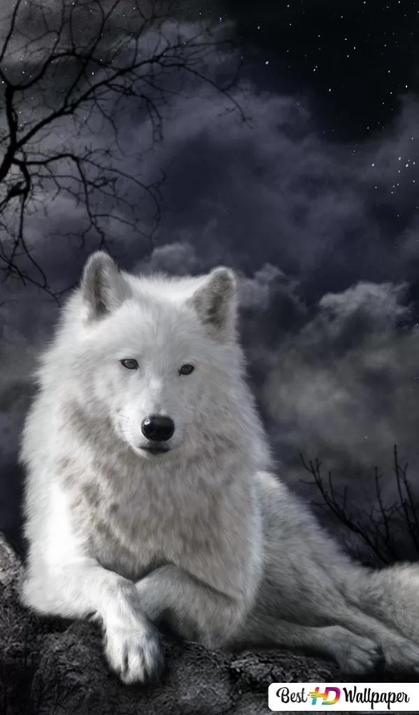 Free Download Naruto White Wolf Wallpaper Page 1511247 (600 x 1024)