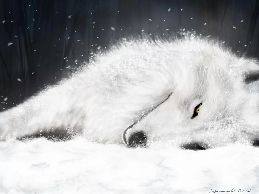 Free Download Naruto White Wolf Wallpaper Page 1511256 (1024 x 768)
