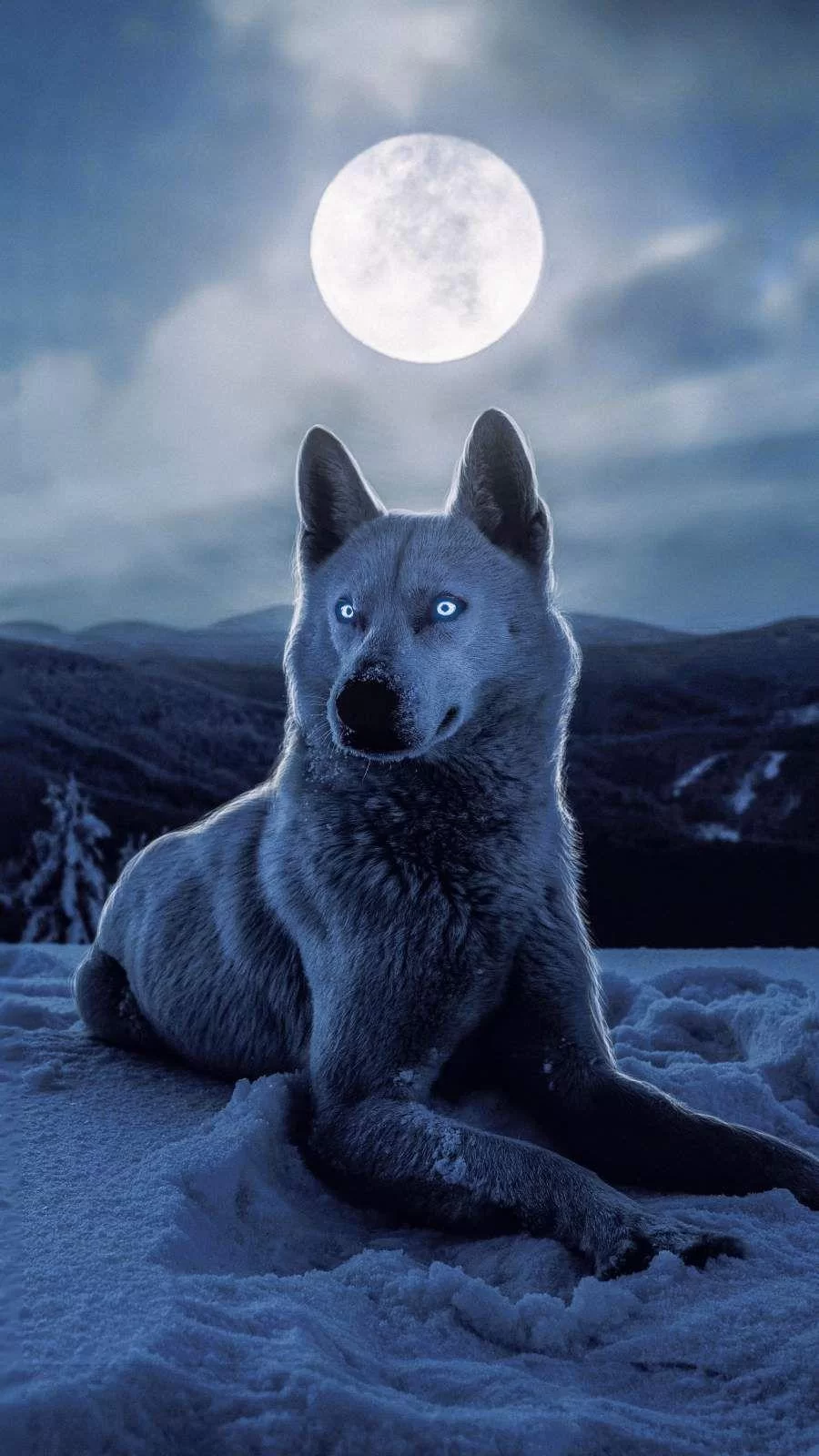 Free Download Naruto White Wolf Wallpaper Page 1511257 (900 x 1600)