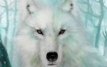 Free Download Naruto White Wolf Wallpaper Page 1511261 (350 x 219)