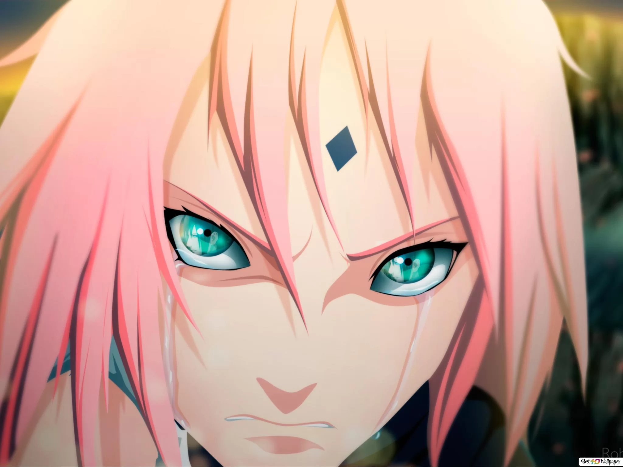 Free Download Naruto X Sakura Wallpaper Page 1521794 (2048 x 1536)