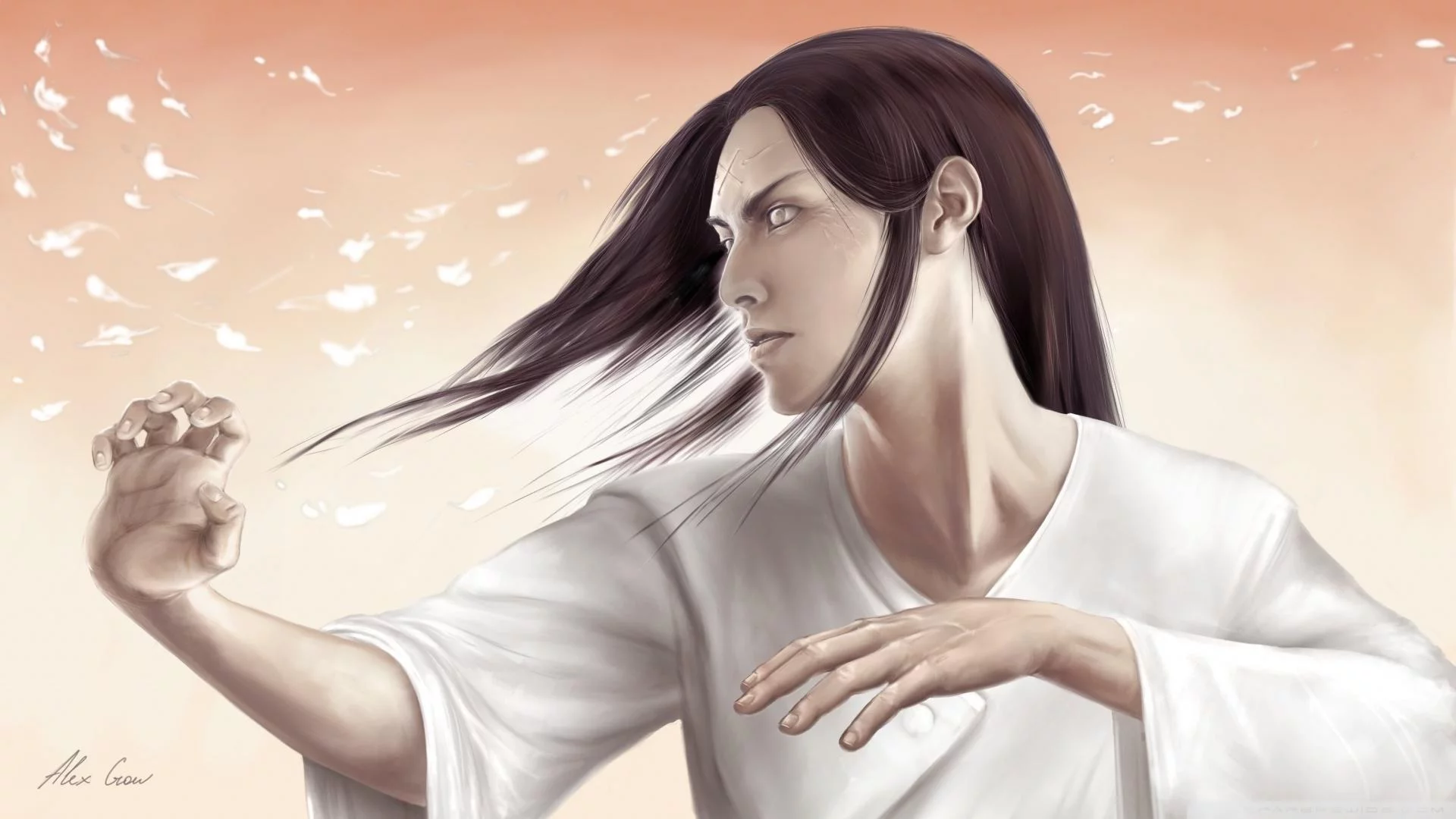 Free Download Rip Naruto And Neji 1920x1080 Wallpaper Page 1595525 (1920 x 1080)