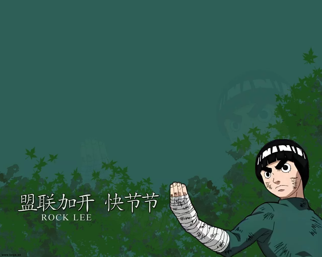 Free Download Rock Lee Naruto Wallpaper Page 1595604 (1280 x 1024)