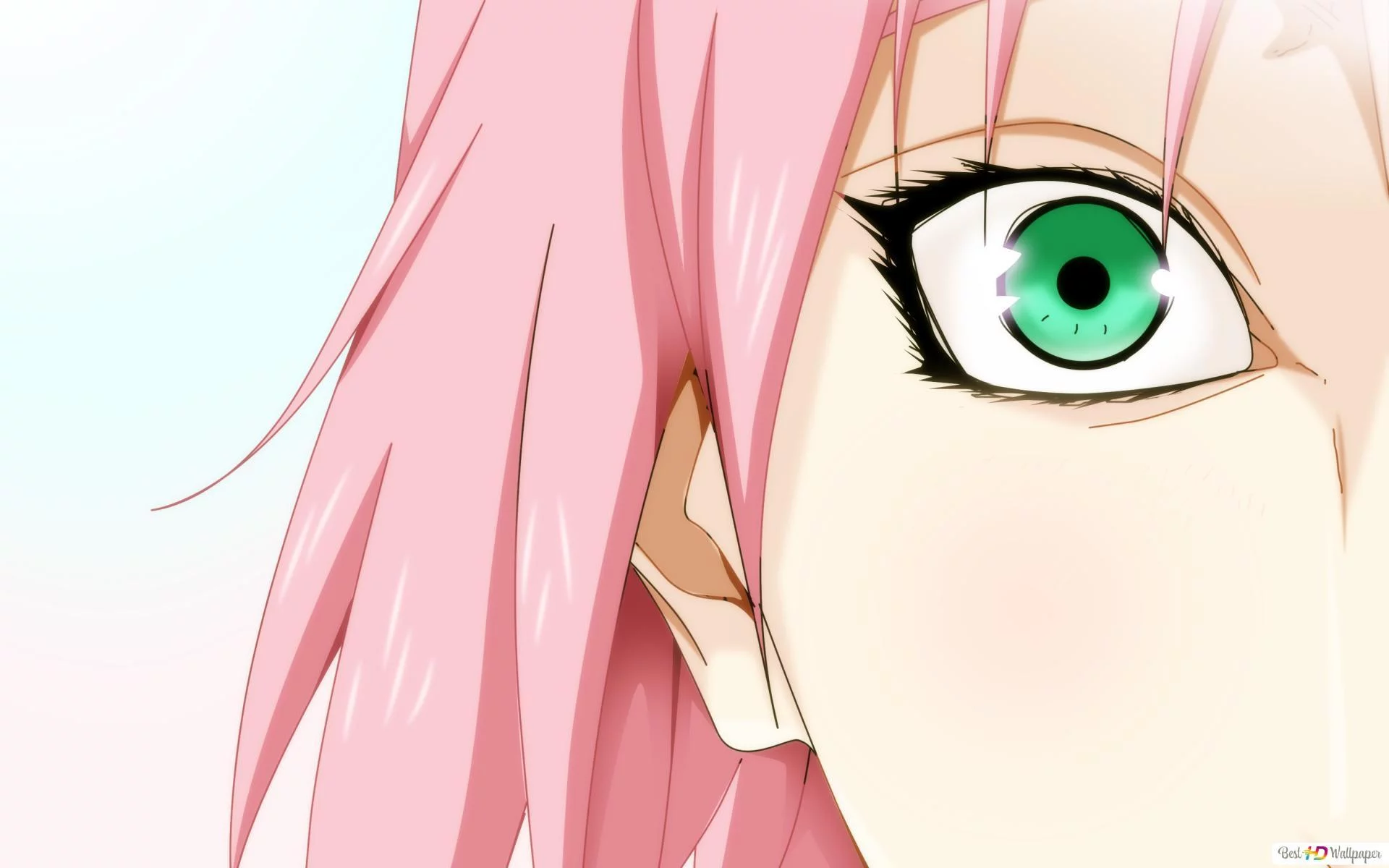 Free Download Sakura Hd Wallpaper Naruto Page 1610399 (1920 x 1200)