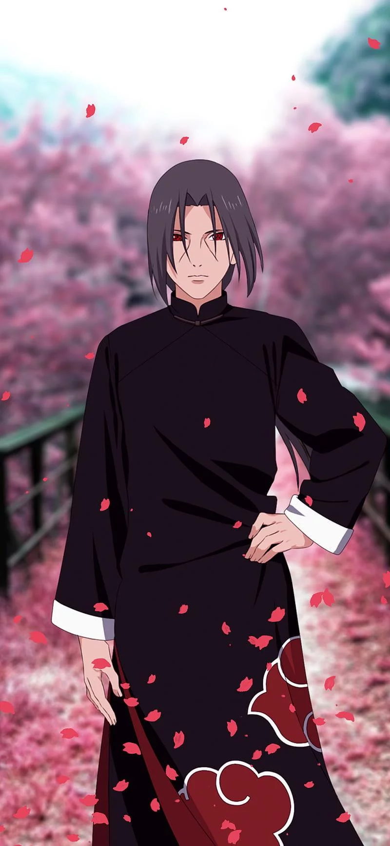 Free Download Sakura Naruto Iphone Wallpaper Page 1610467 (800 x 1733)