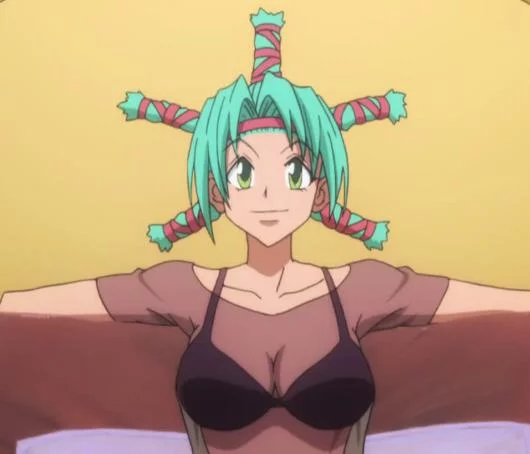 Free Download Sexy Hunter X Hunter Menchi Naruto Hd Wallpaper Page 1640339 (530 x 454)