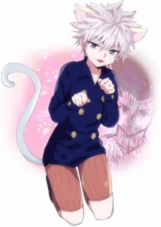 Free Download Sexy Hunter X Hunter Menchi Naruto Hd Wallpaper Page 1640402 (540 x 762)