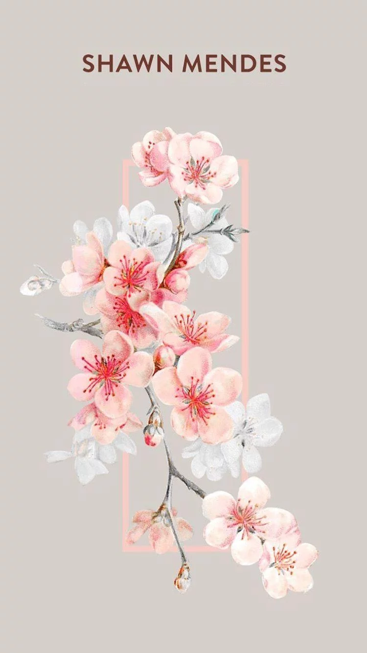 Free Download Shawn Mendes Wallpaper Naruto Page 1643681 (750 x 1334)