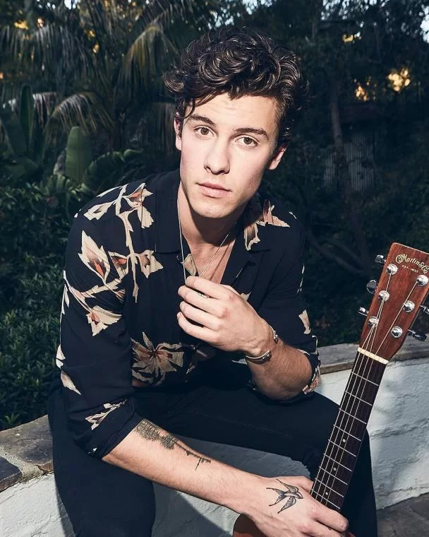 Free Download Shawn Mendes Wallpaper Naruto Page 1643752 (608 x 760)
