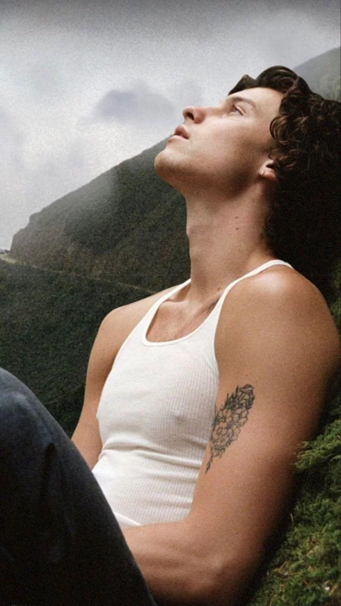 Free Download Shawn Mendes Wallpaper Naruto Page 1643757 (675 x 1200)