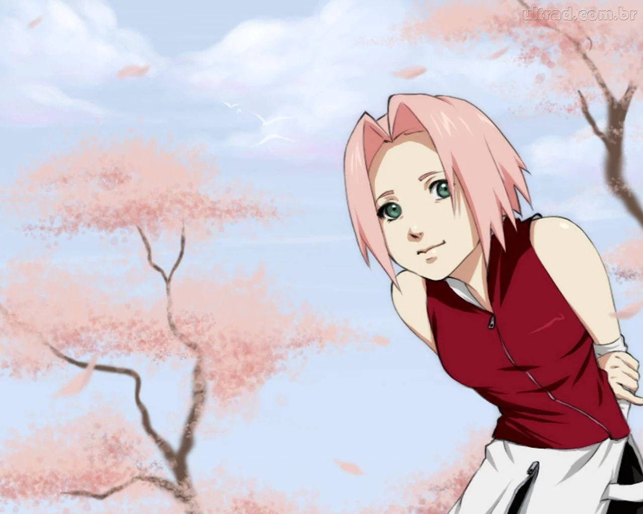 Free Download Download Wallpaper Naruto And Sakura Page 170158 (1280 x 1024)
